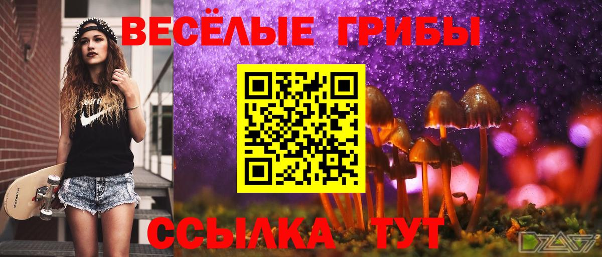 Псилоцибиновые грибы Cubensis  Вход с VPN  Губаха 