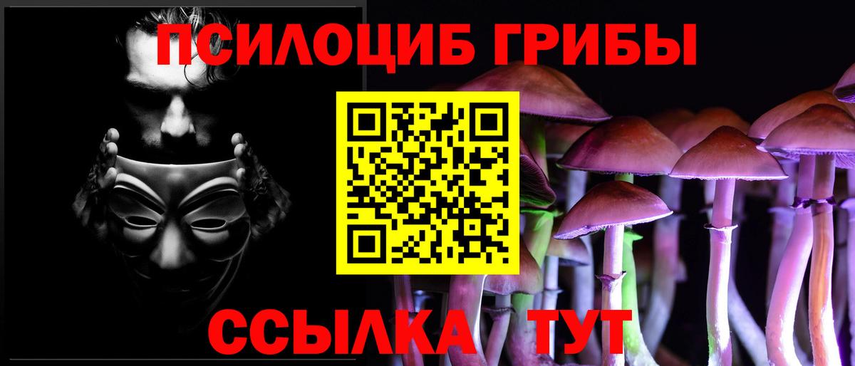 Галлюциногенные грибы мицелий Губаха